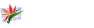 Tropical Coast Web Design